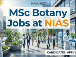 MSc Botany Jobs at NIAS | Candidates Apply Now 