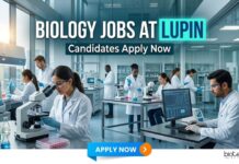 Lupin Biology Jobs 2026: Research Associate Biotech R&D Opportunity Biology Jobs at Lupin | Candidates Apply Now