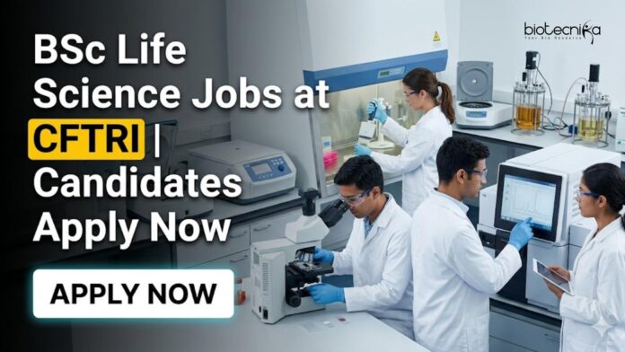 MSc Food Science Jobs at CFTRI | Candidates Apply Now