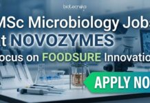 MSc Microbiology Jobs at Novozymes | Candidates Apply Now