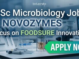 MSc Microbiology Jobs at Novozymes | Candidates Apply Now