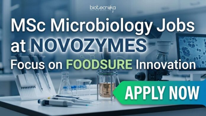 MSc Microbiology Jobs at Novozymes | Candidates Apply Now MSc Microbiology Jobs at Novozymes | Candidates Apply Now