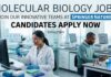 Springer Nature Careers 2026: Associate or Senior Editor – Molecular Biology Jobs Molecular biology Jobs at Springer Nature | Candidates Apply Now