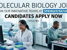 Springer Nature Careers 2026: Associate or Senior Editor – Molecular Biology Jobs Molecular biology Jobs at Springer Nature | Candidates Apply Now