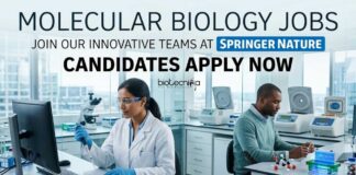 Springer Nature Careers 2026: Associate or Senior Editor – Molecular Biology Jobs Molecular biology Jobs at Springer Nature | Candidates Apply Now
