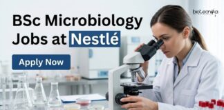 Nutrition Officer Jobs at Nestlé | BSc Microbiology Candidates Apply BSc Microbiology Jobs at Nestlé | Candidates Apply Now