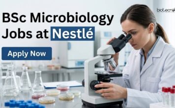 Nutrition Officer Jobs at Nestlé | BSc Microbiology Candidates Apply BSc Microbiology Jobs at Nestlé | Candidates Apply Now