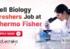 Cell Biology Freshers Job at Thermo Fisher – Scientist I Role | Applicants Invited Cell Biology Freshers Job at Thermo Fisher | Candidates Apply