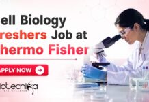 Cell Biology Freshers Job at Thermo Fisher – Scientist I Role | Applicants Invited Cell Biology Freshers Job at Thermo Fisher | Candidates Apply