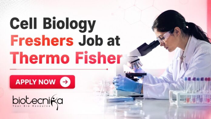 Cell Biology Freshers Job at Thermo Fisher | Candidates Apply Cell Biology Freshers Job at Thermo Fisher | Candidates Apply