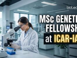MSc Genetics Fellowship at ICAR-IARI | Candidates Apply Now