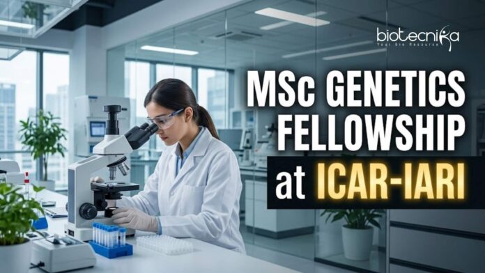 MSc Genetics Fellowship at ICAR-IARI | Candidates Apply Now MSc Genetics Fellowship at ICAR-IARI | Candidates Apply Now