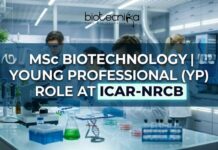 NRCB Careers 2026: Young Professional Vacancy for MSc Biotechnology Candidates MSc Biotechnology Vacancy at ICAR-NRCB | Young Professional
