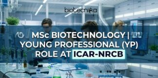 NRCB Careers 2026: Young Professional Vacancy for MSc Biotechnology Candidates MSc Biotechnology Vacancy at ICAR-NRCB | Young Professional
