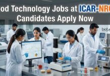 ICAR-NRCP Recruitment 2026: Young Professional Jobs for Food Technology Graduates Food Technology Jobs at ICAR-NRCP | Candidates Apply Now