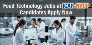 ICAR-NRCP Recruitment 2026: Young Professional Jobs for Food Technology Graduates Food Technology Jobs at ICAR-NRCP | Candidates Apply Now