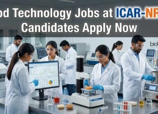 ICAR-NRCP Recruitment 2026: Young Professional Jobs for Food Technology Graduates Food Technology Jobs at ICAR-NRCP | Candidates Apply Now