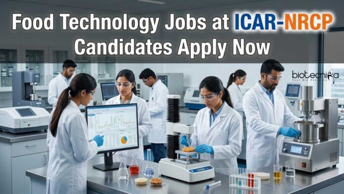 Food Technology Jobs at ICAR-NRCP | Candidates Apply Now Food Technology Jobs at ICAR-NRCP | Candidates Apply Now