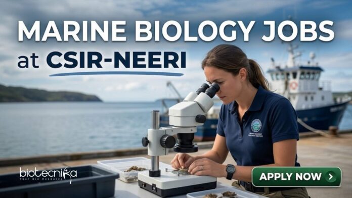 Marine Biology Jobs at CSIR-NEERI | Candidates Apply Now Marine Biology Jobs at CSIR-NEERI | Candidates Apply Now