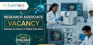 Research Associate Job at MAHE. Life Sciences Candidates, Apply Now & Earn Upto ₹58,000 + 10% HRA per month.