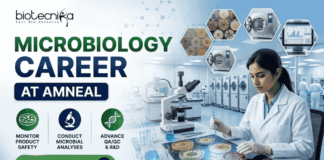 Amneal Microbiology Job 2026 – M.Sc Microbiology Candidates Can Apply Now Amneal Microbiology Job 2026 – M.Sc Microbiology Candidates Can Apply Now. A professional promotional banner for a "Microbiology Career at Amneal," featuring the Biotecnika logo at the top left. On the right, a female scientist in a white lab coat is working in a high-tech microbiology laboratory, examining colorful petri dishes with an inoculation loop. The left side features the bold headline "MICROBIOLOGY CAREER AT AMNEAL" and three icons representing: Monitor Product Safety, Conduct Microbial Analyses, and Advance QA/QC & R&D. The background includes hexagonal floating graphics showing various bacterial cultures and laboratory autoclaves. A prominent green "Apply Now" button with a white arrow is located at the bottom left.
