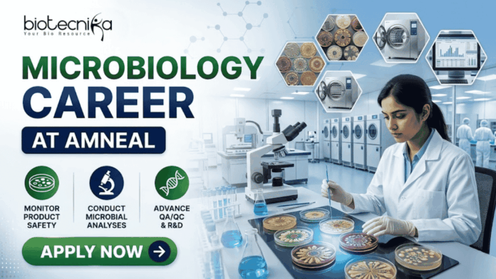 Amneal Microbiology Job 2026 – M.Sc Microbiology Candidates Can Apply Now Amneal Microbiology Job 2026 – M.Sc Microbiology Candidates Can Apply Now. A professional promotional banner for a "Microbiology Career at Amneal," featuring the Biotecnika logo at the top left. On the right, a female scientist in a white lab coat is working in a high-tech microbiology laboratory, examining colorful petri dishes with an inoculation loop. The left side features the bold headline "MICROBIOLOGY CAREER AT AMNEAL" and three icons representing: Monitor Product Safety, Conduct Microbial Analyses, and Advance QA/QC & R&D. The background includes hexagonal floating graphics showing various bacterial cultures and laboratory autoclaves. A prominent green "Apply Now" button with a white arrow is located at the bottom left.