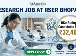 ₹32,400 Salary Research Job at IISER Bhopal | BSc Biology Candidates Apply Now ₹32,400 Salary Research Job at IISER Bhopal BSc Biology Candidates Apply Now. A recruitment banner for a "RESEARCH JOB AT IISER BHOPAL" by Biotecnika. The image features a female scientist in a lab coat pipetting into a microplate in a modern laboratory. A gold circular callout highlights that BSc Biology candidates can earn ₹32,400. The background shows the IISER Bhopal campus, molecular models (protein and DNA), and lab equipment. At the bottom right, three icons with text represent "Novel Drug Discovery," "Cutting-edge Biology Labs," and "Expert Mentorship." A prominent green "APPLY NOW" button is at the bottom center.