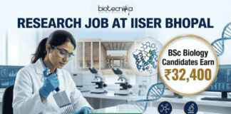 ₹32,400 Salary Research Job at IISER Bhopal | BSc Biology Candidates Apply Now ₹32,400 Salary Research Job at IISER Bhopal BSc Biology Candidates Apply Now. A recruitment banner for a "RESEARCH JOB AT IISER BHOPAL" by Biotecnika. The image features a female scientist in a lab coat pipetting into a microplate in a modern laboratory. A gold circular callout highlights that BSc Biology candidates can earn ₹32,400. The background shows the IISER Bhopal campus, molecular models (protein and DNA), and lab equipment. At the bottom right, three icons with text represent "Novel Drug Discovery," "Cutting-edge Biology Labs," and "Expert Mentorship." A prominent green "APPLY NOW" button is at the bottom center.