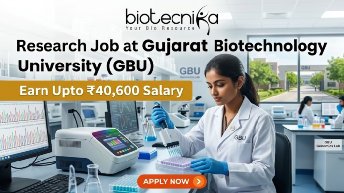₹40,600 Salary Research Job at Gujarat Biotechnology University (GBU) JRF & SRF Openings ₹40,600 Salary Research Job at Gujarat Biotechnology University (GBU) JRF & SRF Openings. A focused female researcher in a white lab coat uses a multi-channel pipette on a microplate within a modern GBU laboratory. Large bold text reads: 'Research Job at Gujarat Biotechnology University (GBU)'. A yellow banner highlights 'Earn Upto ₹40,600 Salary'. The Biotecnika logo is at the top. The background features GBU lab equipment, a monitor with DNA graphs, another researcher, and GBU campus views. At the bottom center is an orange 'APPLY NOW' button with a right arrow.