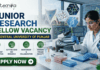 ₹42,000 Salary Junior Research Fellow Vacancy at Central University of Punjab ₹42,000 Salary Junior Research Fellow Vacancy at Central University of Punjab. A corporate recruitment banner for a "JUNIOR RESEARCH FELLOW VACANCY at CENTRAL UNIVERSITY OF PUNJAB" featuring the Biotecnika logo. The image showcases a focused female scientist of Indian heritage wearing a lab coat and safety glasses, using a multichannel pipette on a well-plate. The background features the modern architecture of the university and laboratory monitors displaying genetic and bio-prospecting data. Four circular green icons highlight key job features: Drug Development & Optimization, Cutting-Edge Bio Research, Mentorship & Collaboration, and Modern Punjab Facility. A prominent green "APPLY NOW" button is located at the bottom left.