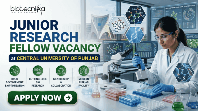₹42,000 Salary Junior Research Fellow Vacancy at Central University of Punjab ₹42,000 Salary Junior Research Fellow Vacancy at Central University of Punjab. A corporate recruitment banner for a "JUNIOR RESEARCH FELLOW VACANCY at CENTRAL UNIVERSITY OF PUNJAB" featuring the Biotecnika logo. The image showcases a focused female scientist of Indian heritage wearing a lab coat and safety glasses, using a multichannel pipette on a well-plate. The background features the modern architecture of the university and laboratory monitors displaying genetic and bio-prospecting data. Four circular green icons highlight key job features: Drug Development & Optimization, Cutting-Edge Bio Research, Mentorship & Collaboration, and Modern Punjab Facility. A prominent green "APPLY NOW" button is located at the bottom left.