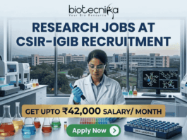 ₹42,000 Salary Research Jobs at Institute of Life Sciences | Apply Now ₹42,000 Salary Research Jobs at Institute of Life Sciences Apply Now. A job recruitment banner from Biotecnika for CSIR-IGIB. The headline reads 'RESEARCH JOBS AT CSIR-IGIB RECRUITMENT'. A female scientist in a lab coat uses a multi-channel pipette. The desk features beakers, a box of 'DRUG CANDIDATE' vials, and a monitor with a 3D molecular structure. A campus of buildings is visible through a large window. A gold banner highlights 'GET UPTO ₹42,000 SALARY/ MONTH'. An 'Apply Now' button is at the bottom.