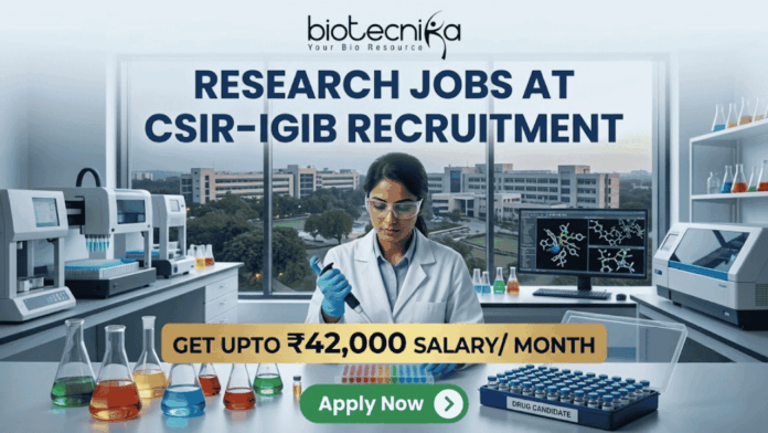 ₹42,000 Salary Research Jobs at Institute of Life Sciences Apply Now ₹42,000 Salary Research Jobs at Institute of Life Sciences Apply Now. A job recruitment banner from Biotecnika for CSIR-IGIB. The headline reads 'RESEARCH JOBS AT CSIR-IGIB RECRUITMENT'. A female scientist in a lab coat uses a multi-channel pipette. The desk features beakers, a box of 'DRUG CANDIDATE' vials, and a monitor with a 3D molecular structure. A campus of buildings is visible through a large window. A gold banner highlights 'GET UPTO ₹42,000 SALARY/ MONTH'. An 'Apply Now' button is at the bottom.