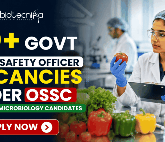 80+ Govt Food Safety Officer Vacancies Under OSSC – Biotech & Microbiology Candidates Apply. Apply for Govt Food Safety Officer Vacancies through OSSC Recruitment 2026. Open for Biotech, Micro, Food Tech, and Life Science candidates.