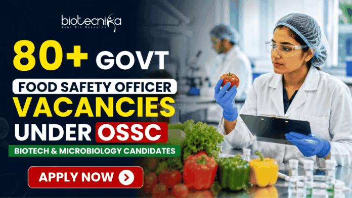 80+ Govt Food Safety Officer Vacancies Under OSSC – Biotech & Microbiology Candidates Apply 80+ Govt Food Safety Officer Vacancies Under OSSC – Biotech & Microbiology Candidates Apply. Apply for Govt Food Safety Officer Vacancies through OSSC Recruitment 2026. Open for Biotech, Micro, Food Tech, and Life Science candidates.