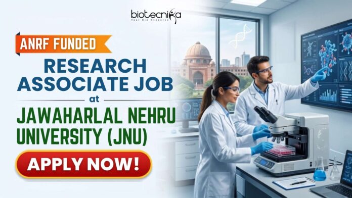 ANRF Funded Research Job at JNU Apply for a Research Associate Job at Jawaharlal Nehru University Careers. Life Science Job in ANRF-funded Leishmania research
