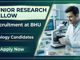 Junior Research Fellow at BHU – Zoology Candidates Apply Now Apply for BHU Recruitment 2026 Junior Research Fellow Vacancy. Great opportunity for candidates building a Zoology Career in research.