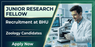 Junior Research Fellow at BHU – Zoology Candidates Apply Now Apply for BHU Recruitment 2026 Junior Research Fellow Vacancy. Great opportunity for candidates building a Zoology Career in research.