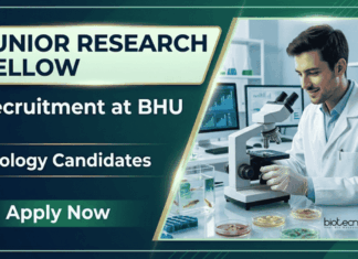 Junior Research Fellow at BHU – Zoology Candidates Apply Now Apply for BHU Recruitment 2026 Junior Research Fellow Vacancy. Great opportunity for candidates building a Zoology Career in research.