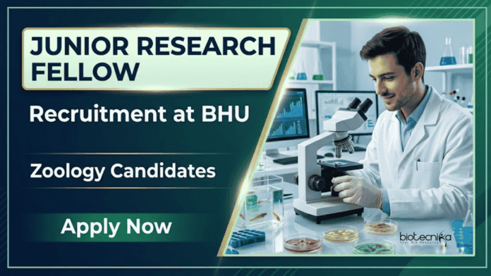 BHU Apply for BHU Recruitment 2026 Junior Research Fellow Vacancy. Great opportunity for candidates building a Zoology Career in research.
