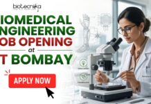 Biomedical Engineering Job at IIT Bombay | Earn ₹30,000 Fellowship+ PhD Opportunity! Biomedical Engineering Job at IIT Bombay Earn ₹30,000 Fellowship+ PhD Opportunity!