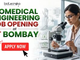 Biomedical Engineering Job at IIT Bombay | Earn ₹30,000 Fellowship+ PhD Opportunity! Biomedical Engineering Job at IIT Bombay Earn ₹30,000 Fellowship+ PhD Opportunity!