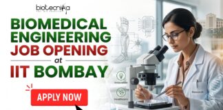 Biomedical Engineering Job at IIT Bombay | Earn ₹30,000 Fellowship+ PhD Opportunity! Biomedical Engineering Job at IIT Bombay Earn ₹30,000 Fellowship+ PhD Opportunity!