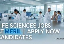 Meril Careers: Associate Researcher Jobs for Life Sciences Candidates Life Sciences Jobs at Meril | Candidates Apply Now