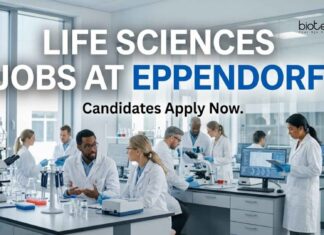 Eppendorf Careers 2026: Life Sciences Jobs in Bengaluru – Apply Now Life Sciences Jobs at Eppendorf | Candidates Apply Now