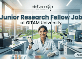 DBT-Funded Junior Research Fellow Job at GITAM University – ₹37,000 + HRA & PhD Opportunity! DBT-Funded Junior Research Fellow Job at GITAM University – ₹37,000 + HRA & PhD Opportunity!