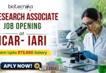 Earn ₹73,660 Salary Research Associate Job at ICAR-IARI | Apply Online Here Earn ₹73,660 Salary Research Associate Job at ICAR-IARI | Apply Online Here