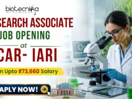 Earn ₹73,660 Salary Research Associate Job at ICAR-IARI | Apply Online Here