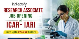 Earn ₹73,660 Salary Research Associate Job at ICAR-IARI | Apply Online Here Earn ₹73,660 Salary Research Associate Job at ICAR-IARI | Apply Online Here