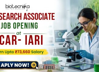 Earn ₹73,660 Salary Research Associate Job at ICAR-IARI | Apply Online Here Earn ₹73,660 Salary Research Associate Job at ICAR-IARI | Apply Online Here